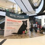 ścianki reklamowe ścianka ekspozycyjna tekstylna druk wielkoformatowy Gdańsk / advertising walls textile display wall large format printing Poland / Werbewände textile Displaywand Großformatdruck Polen