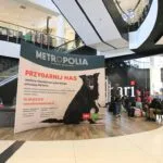 ścianki reklamowe ścianka ekspozycyjna tekstylna druk wielkoformatowy Gdańsk / advertising walls textile display wall large format printing Poland / Werbewände textile Displaywand Großformatdruck Polen
