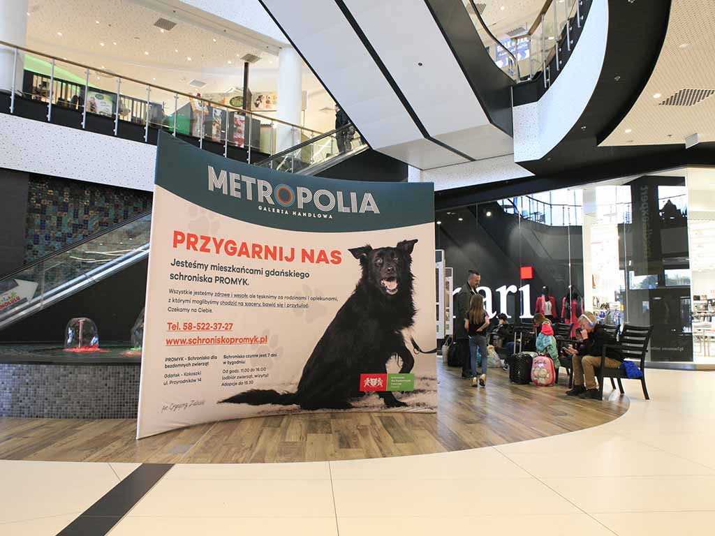 ścianki reklamowe ścianka ekspozycyjna tekstylna druk wielkoformatowy Gdańsk / advertising walls textile display wall large format printing Poland / Werbewände textile Displaywand Großformatdruck Polen